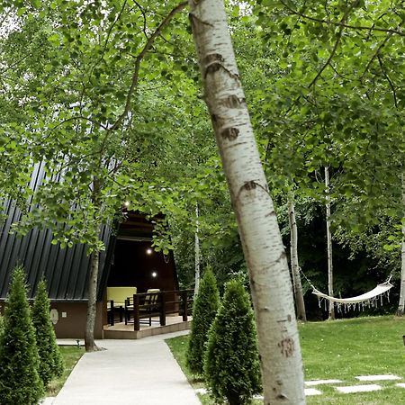 Miletic Villas Despotovac Exterior foto